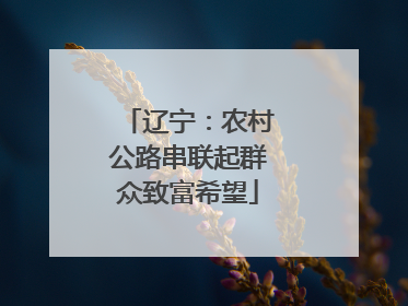 辽宁：农村公路串联起群众致富希望