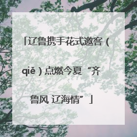辽鲁携手花式邀客（qiě）点燃今夏“齐鲁风 辽海情”