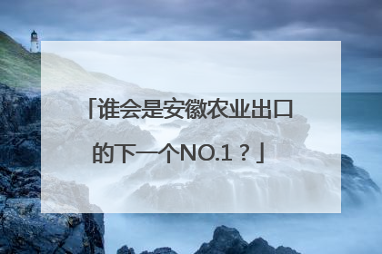 谁会是安徽农业出口的下一个NO.1？