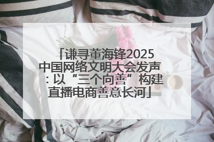 谦寻董海锋2025中国网络文明大会发声：以“三个向善”构建直播电商善意长河