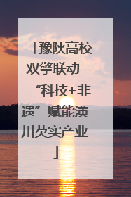 豫陕高校双擎联动 “科技+非遗”赋能潢川芡实产业