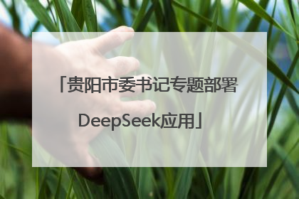 贵阳市委书记专题部署DeepSeek应用