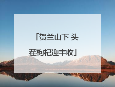 贺兰山下 头茬枸杞迎丰收