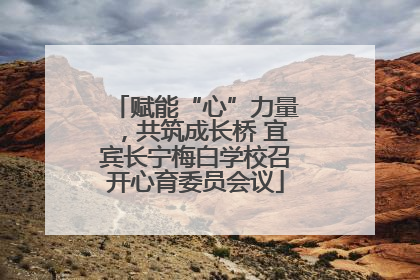 赋能“心”力量，共筑成长桥 宜宾长宁梅白学校召开心育委员会议