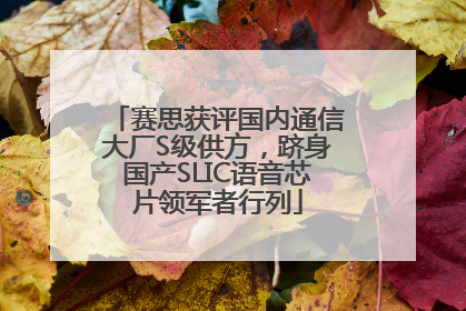 赛思获评国内通信大厂S级供方，跻身国产SLIC语音芯片领军者行列