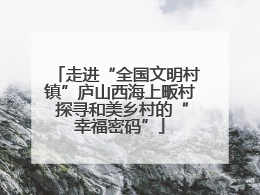 走进“全国文明村镇”庐山西海上畈村 探寻和美乡村的“幸福密码”