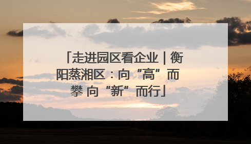 走进园区看企业｜衡阳蒸湘区：向“高”而攀 向“新”而行
