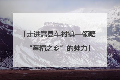 走进嵩县车村镇—领略“黄精之乡”的魅力
