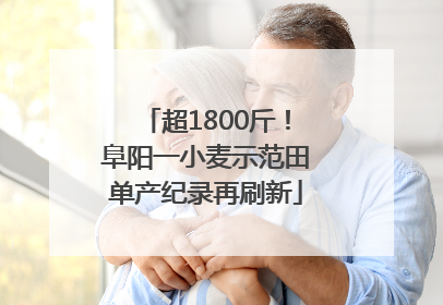 超1800斤！阜阳一小麦示范田单产纪录再刷新