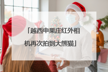 越西申果庄红外相机再次拍到大熊猫