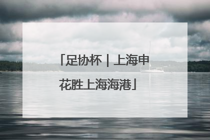 足协杯｜上海申花胜上海海港