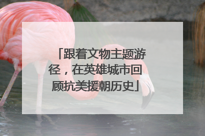 跟着文物主题游径，在英雄城市回顾抗美援朝历史