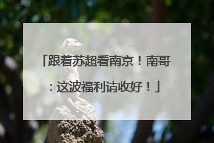 跟着苏超看南京！南哥：这波福利请收好！