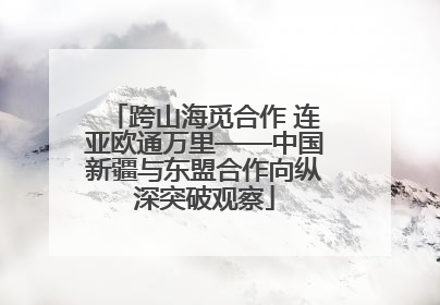 跨山海觅合作 连亚欧通万里——中国新疆与东盟合作向纵深突破观察