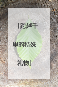 跨越千里的特殊礼物