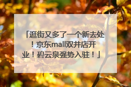 逛街又多了一个新去处！京东mall双井店开业！碧云泉强势入驻！