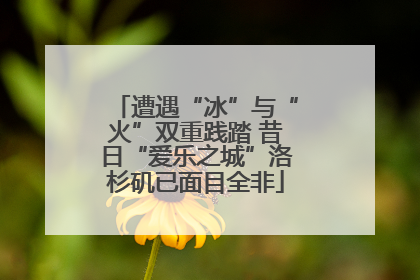 遭遇“冰”与“火”双重践踏 昔日“爱乐之城”洛杉矶已面目全非