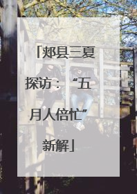 郏县三夏探访：“五月人倍忙”新解