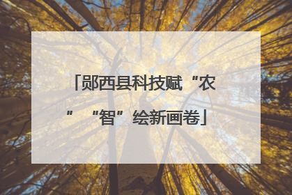 郧西县科技赋“农”“智”绘新画卷