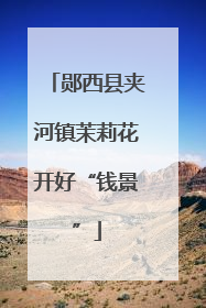 郧西县夹河镇茉莉花开好“钱景”