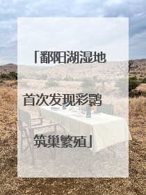 鄱阳湖湿地首次发现彩鹮筑巢繁殖