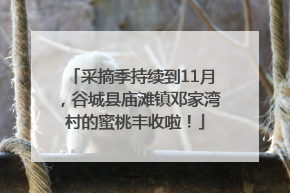 采摘季持续到11月，谷城县庙滩镇邓家湾村的蜜桃丰收啦！