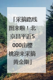 采摘路线图来啦！北京昌平近5000亩樱桃迎来采摘黄金期