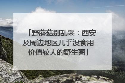 野蘑菇别乱采：西安及周边地区几乎没食用价值较大的野生菌