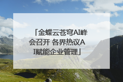 金蝶云苍穹AI峰会召开 各界热议AI赋能企业管理