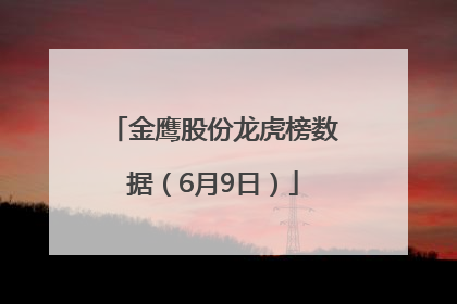金鹰股份龙虎榜数据（6月9日）