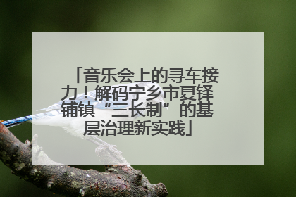 音乐会上的寻车接力！解码宁乡市夏铎铺镇“三长制”的基层治理新实践