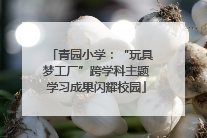 青园小学：“玩具梦工厂”跨学科主题学习成果闪耀校园