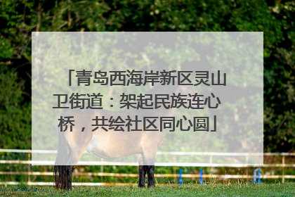 青岛西海岸新区灵山卫街道：架起民族连心桥，共绘社区同心圆