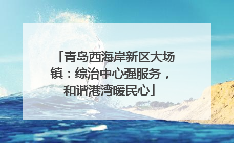 青岛西海岸新区大场镇：综治中心强服务，和谐港湾暖民心