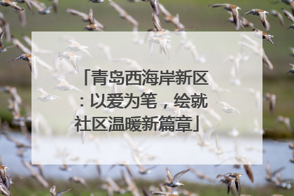 青岛西海岸新区：以爱为笔，绘就社区温暖新篇章
