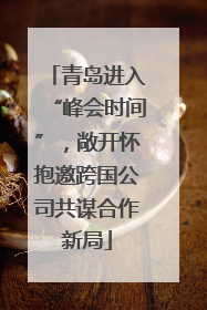 青岛进入“峰会时间”，敞开怀抱邀跨国公司共谋合作新局