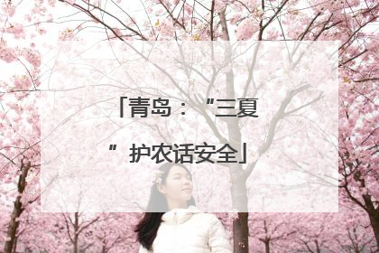 青岛：“三夏”护农话安全