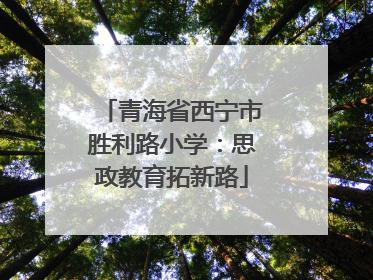 青海省西宁市胜利路小学：思政教育拓新路