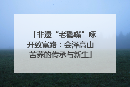非遗“老鹳嘴”啄开致富路：会泽高山苦荞的传承与新生