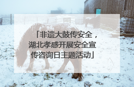 非遗大鼓传安全，湖北孝感开展安全宣传咨询日主题活动