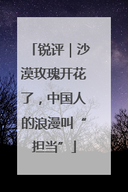 锐评｜沙漠玫瑰开花了，中国人的浪漫叫“担当”