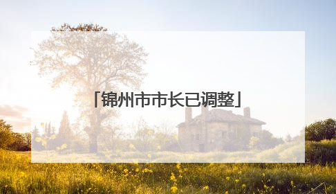 锦州市市长已调整