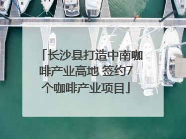 长沙县打造中南咖啡产业高地 签约7个咖啡产业项目