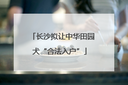 长沙拟让中华田园犬“合法入户”