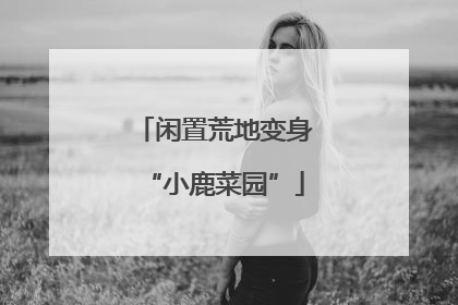 闲置荒地变身“小鹿菜园”