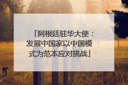 阿根廷驻华大使：发展中国家以中国模式为范本应对挑战