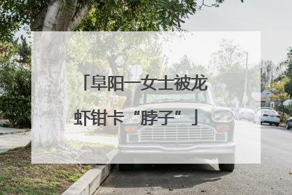 阜阳一女士被龙虾钳卡“脖子”