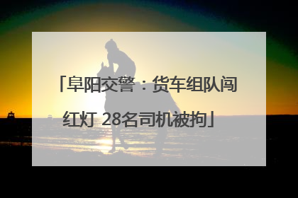 阜阳交警：货车组队闯红灯 28名司机被拘