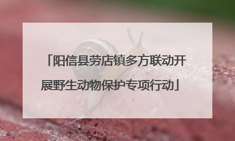 阳信县劳店镇多方联动开展野生动物保护专项行动