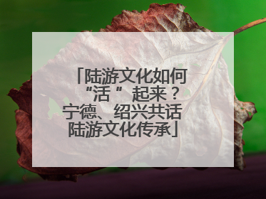陆游文化如何“活 ”起来？宁德、绍兴共话陆游文化传承